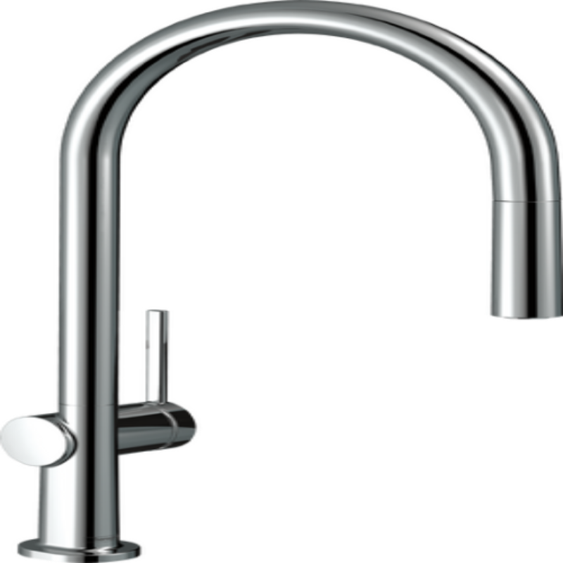 Hansgrohe Talis M54 Single Lever Kitchen Mixer 210, Pull-out Spout, 1jet