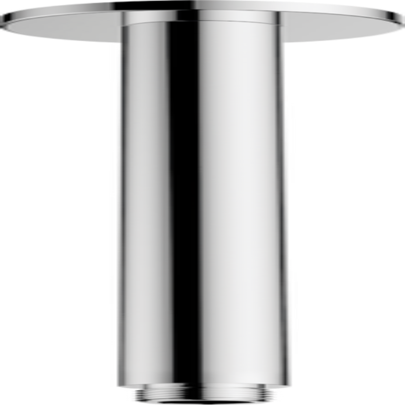 Hansgrohe Vernis Blend Ceiling Connector 30 cm